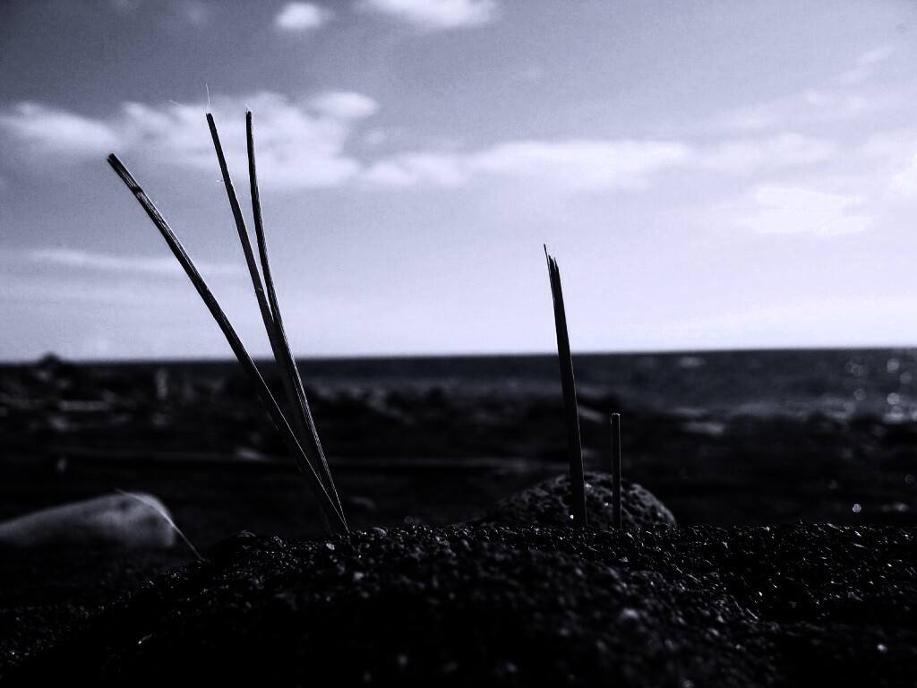 Солома на океанском берегу обои