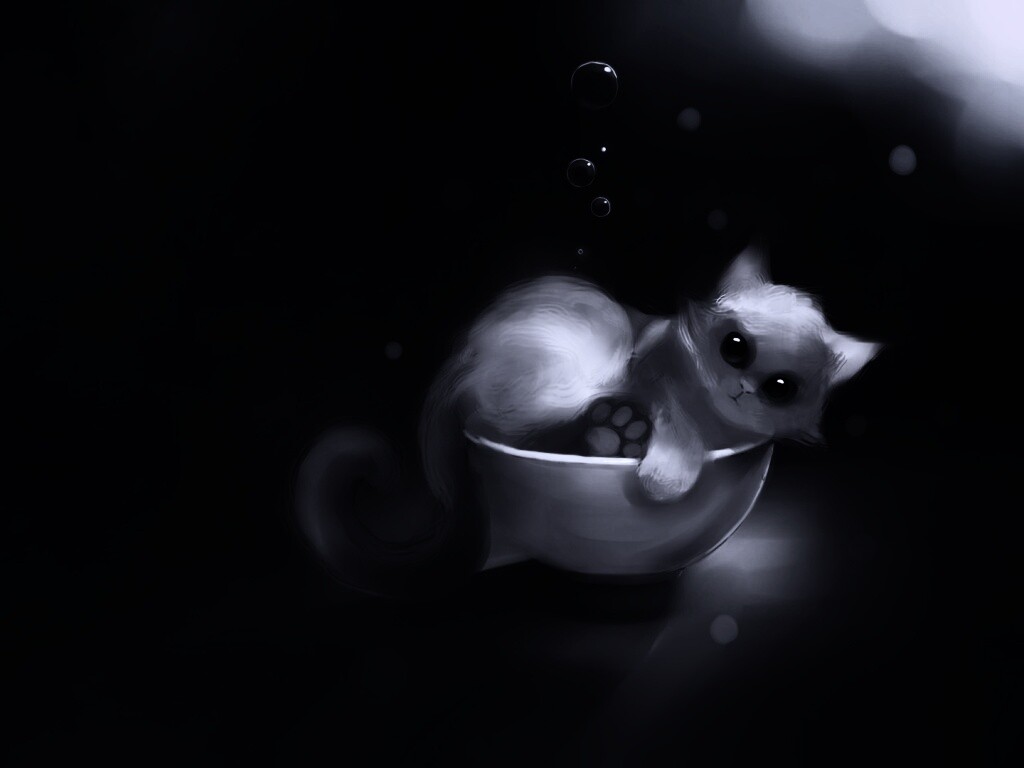 Котёнок в миске обои