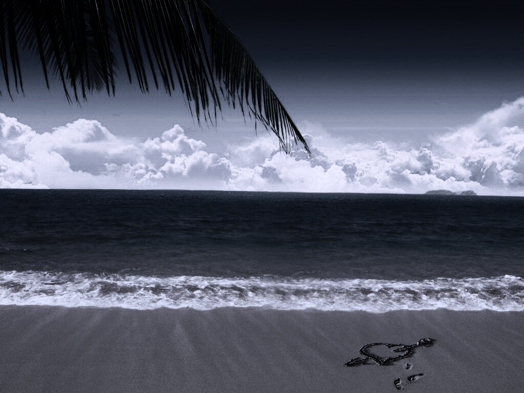 Любовь на океанском берегу обои