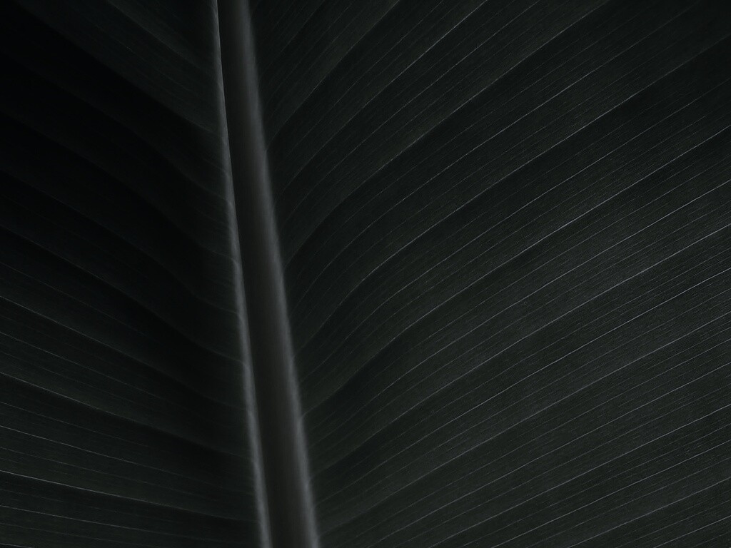 Желтый черенок листа обои