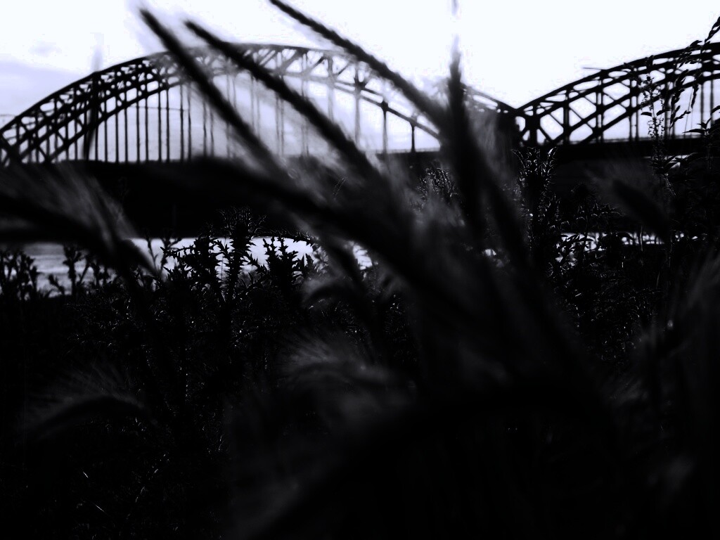 Железнодорожный мост обои