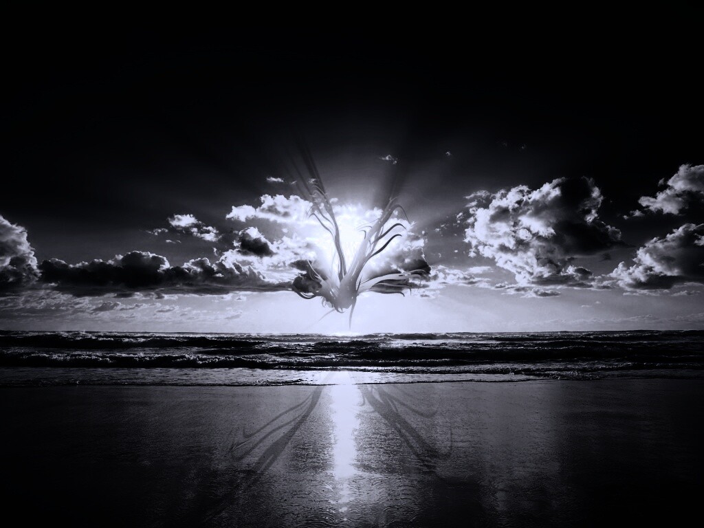 Абстрактные перья на фоне заката обои