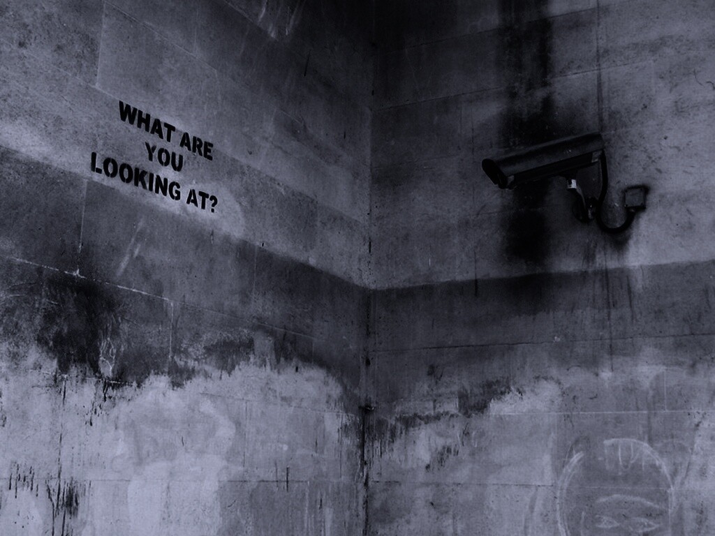 На что ты смотришь? обои