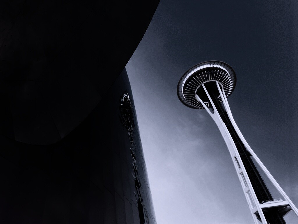 Space Needle Tower обои