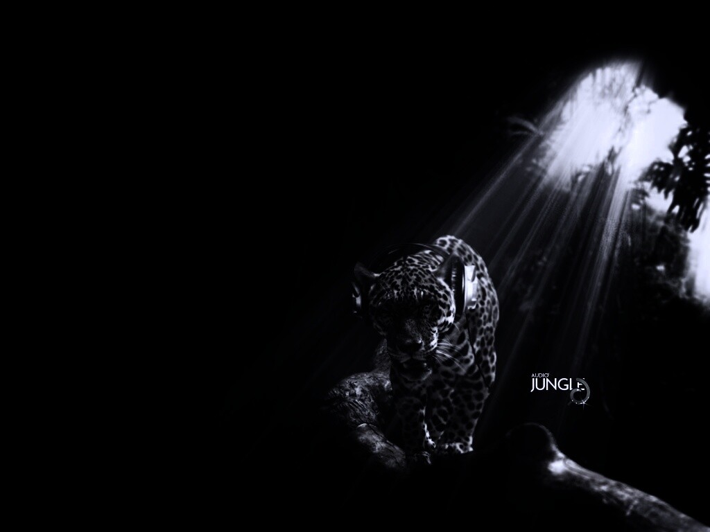 Ягуар в наушниках обои