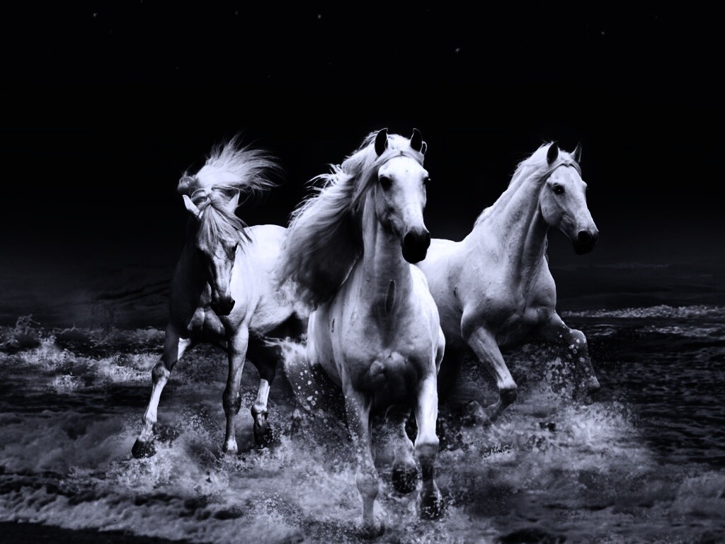 Тройка конец в море обои