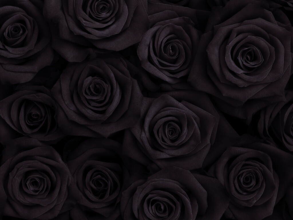 Букет красных роз обои