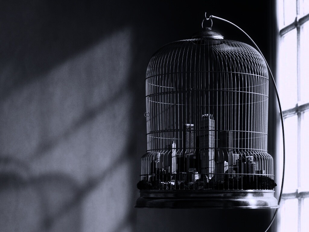 Город в клетке обои