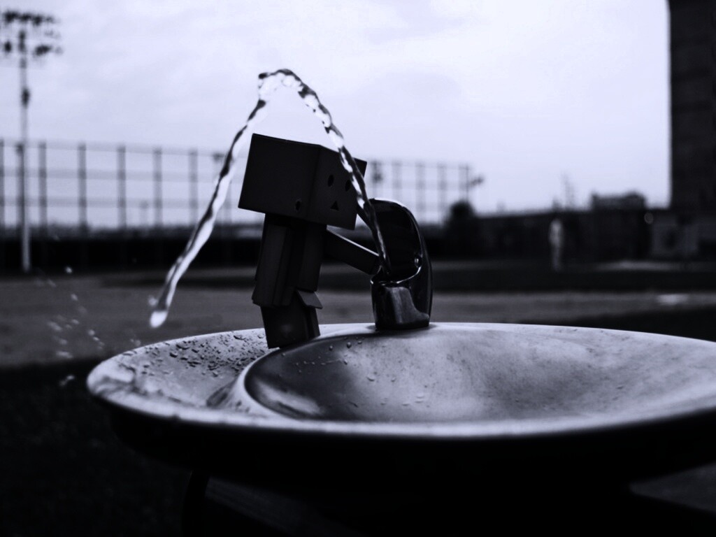 Дандо пьет в воду из фонтанчика обои