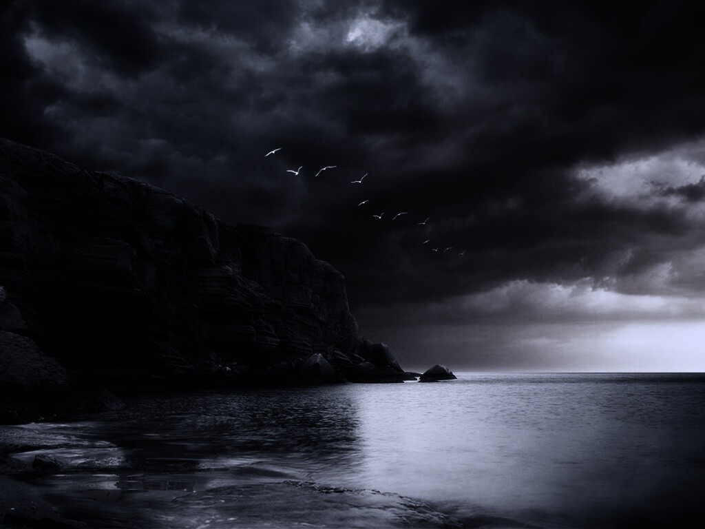 Чайки над скалами обои