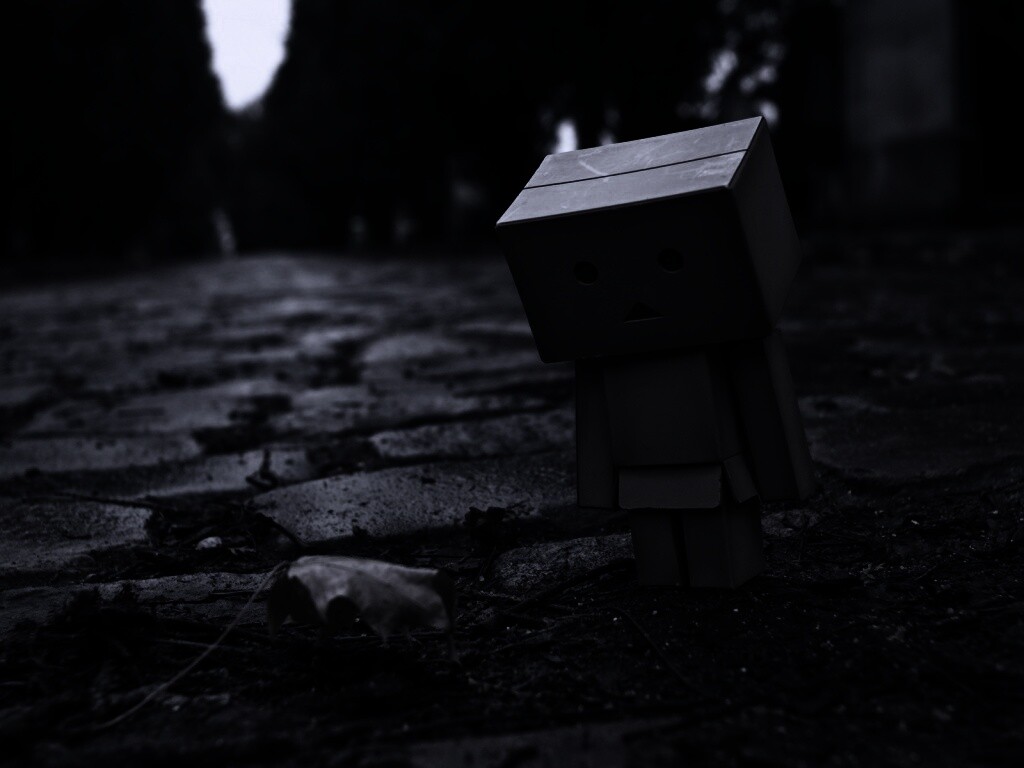 Danbo и первый осенний лист обои