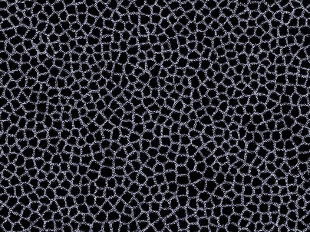 Текстура шкуры жирафа обои