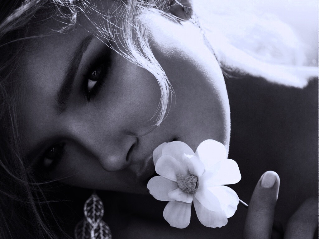 Красавица с белым цветком обои