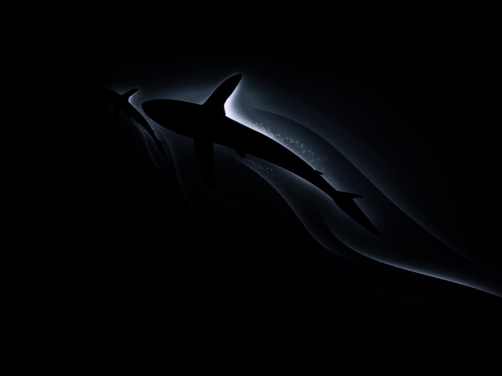 Рыбы в глубине обои