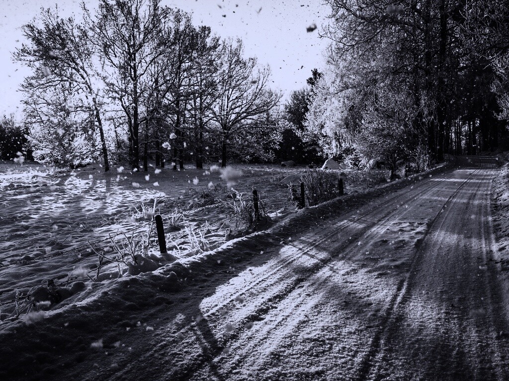 Снежная дорога залитая солнцем обои