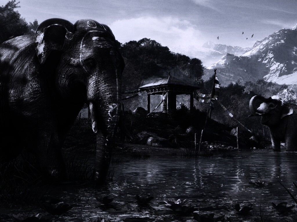 Слоники у воды обои