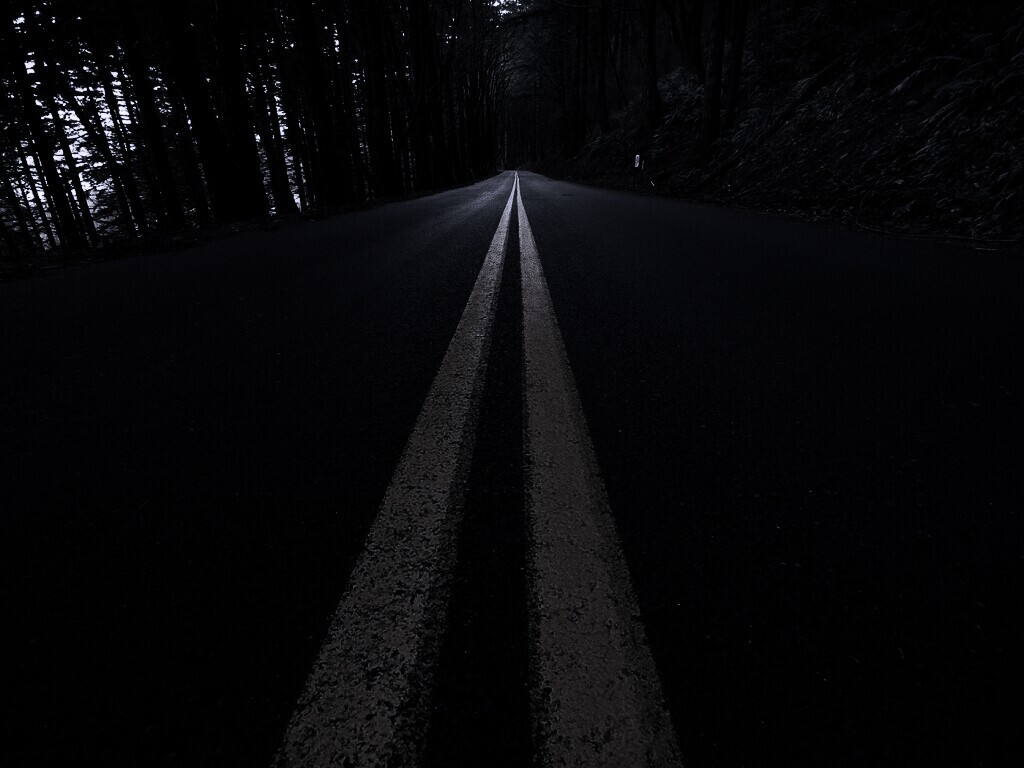 Дорога в лесу обои