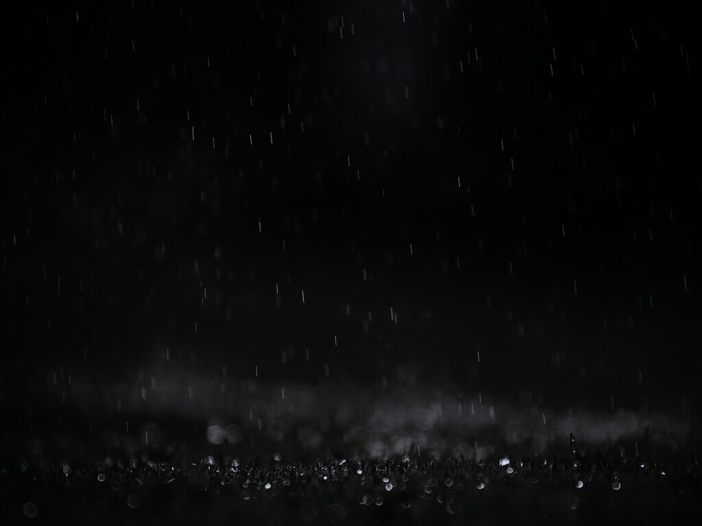 Трава под дождем обои