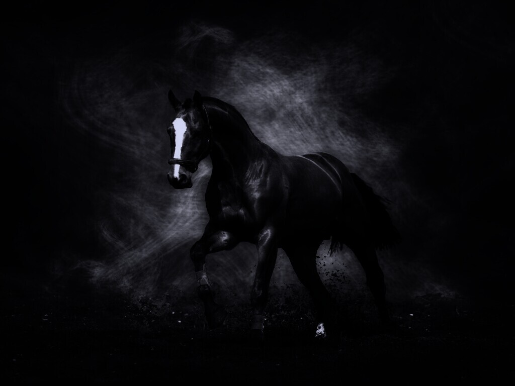 Лошадь обои