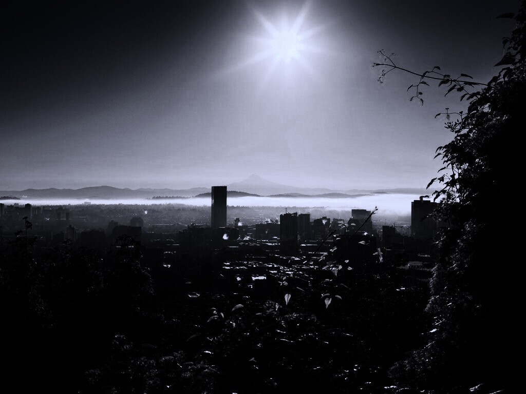 Утро в раю обои