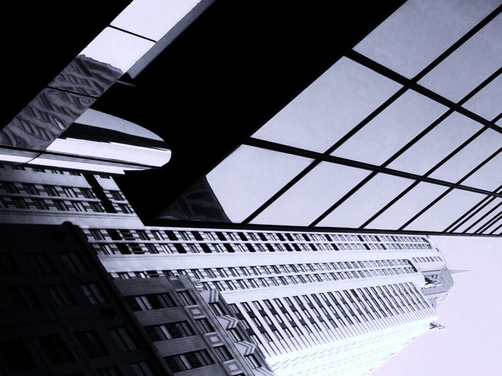 Взгляд вверх обои