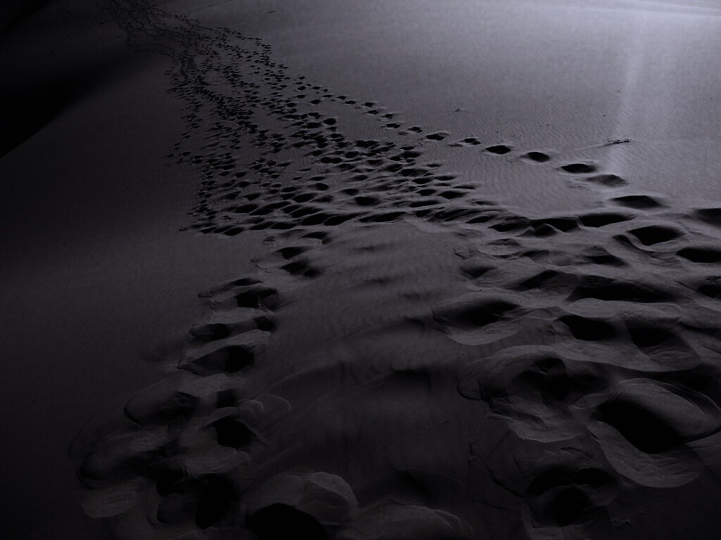 Следы в пустыне обои