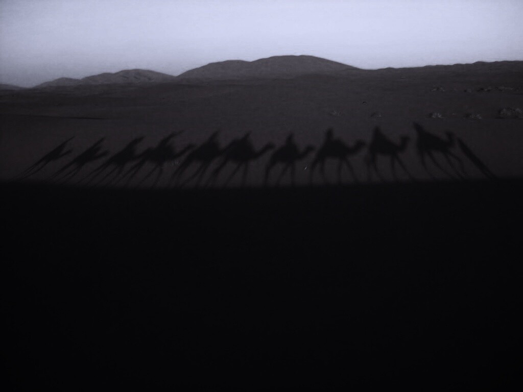 Караван обои