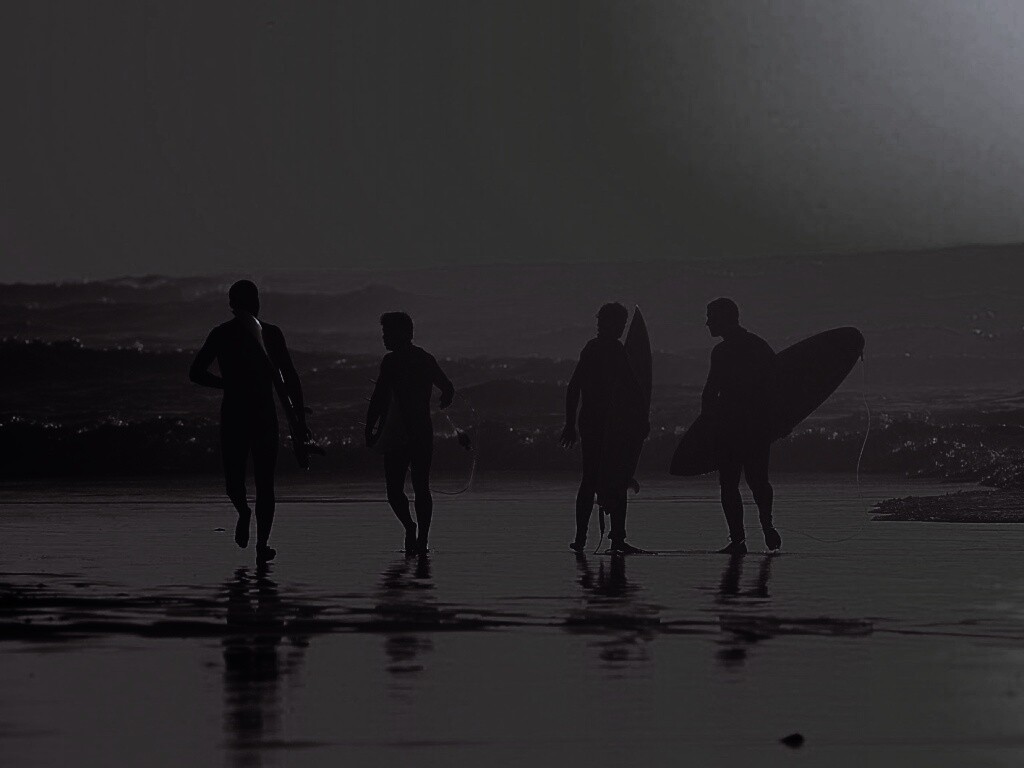 Серфингисты обои