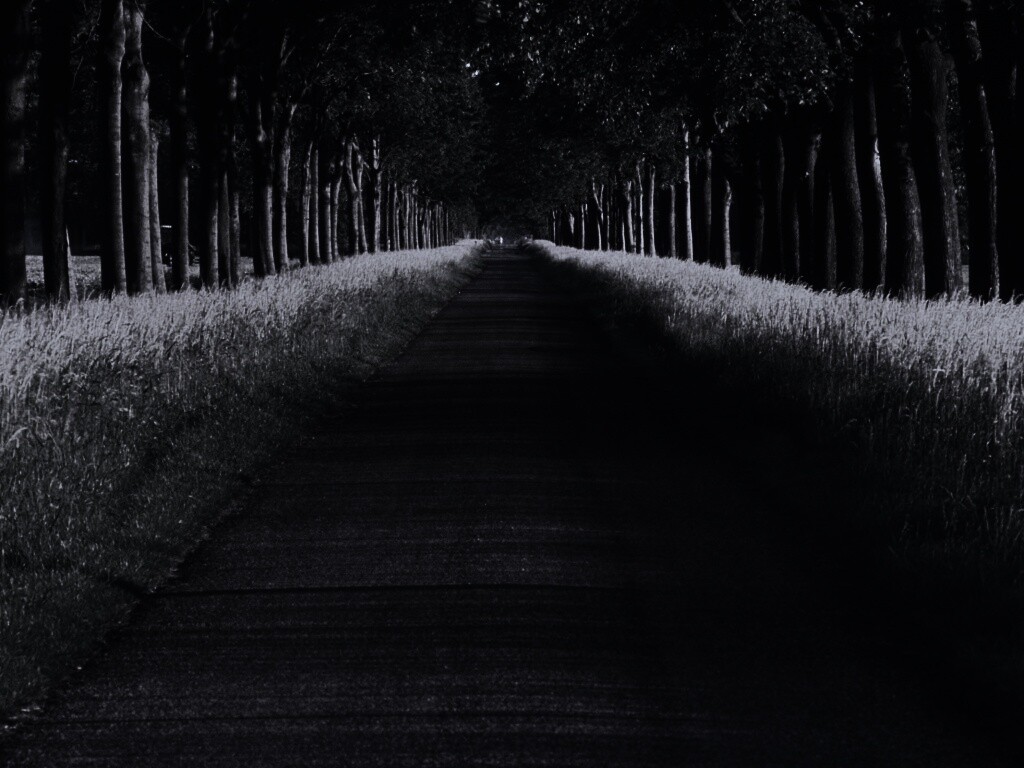 Живописная аллея обои