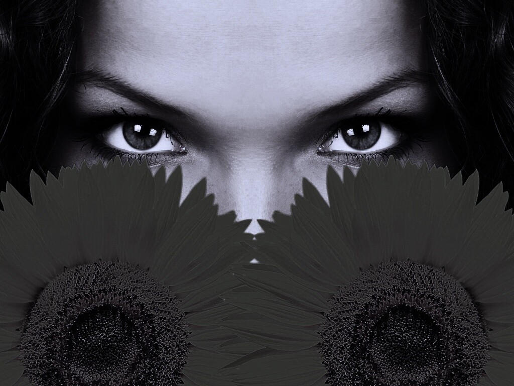 Девушка с желтыми ромашками обои