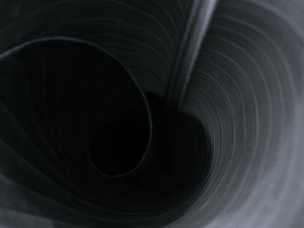 Зеленый лист трубочкой обои