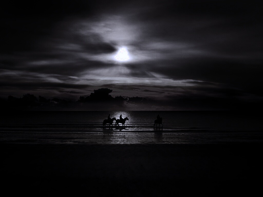 Наездники на закате обои