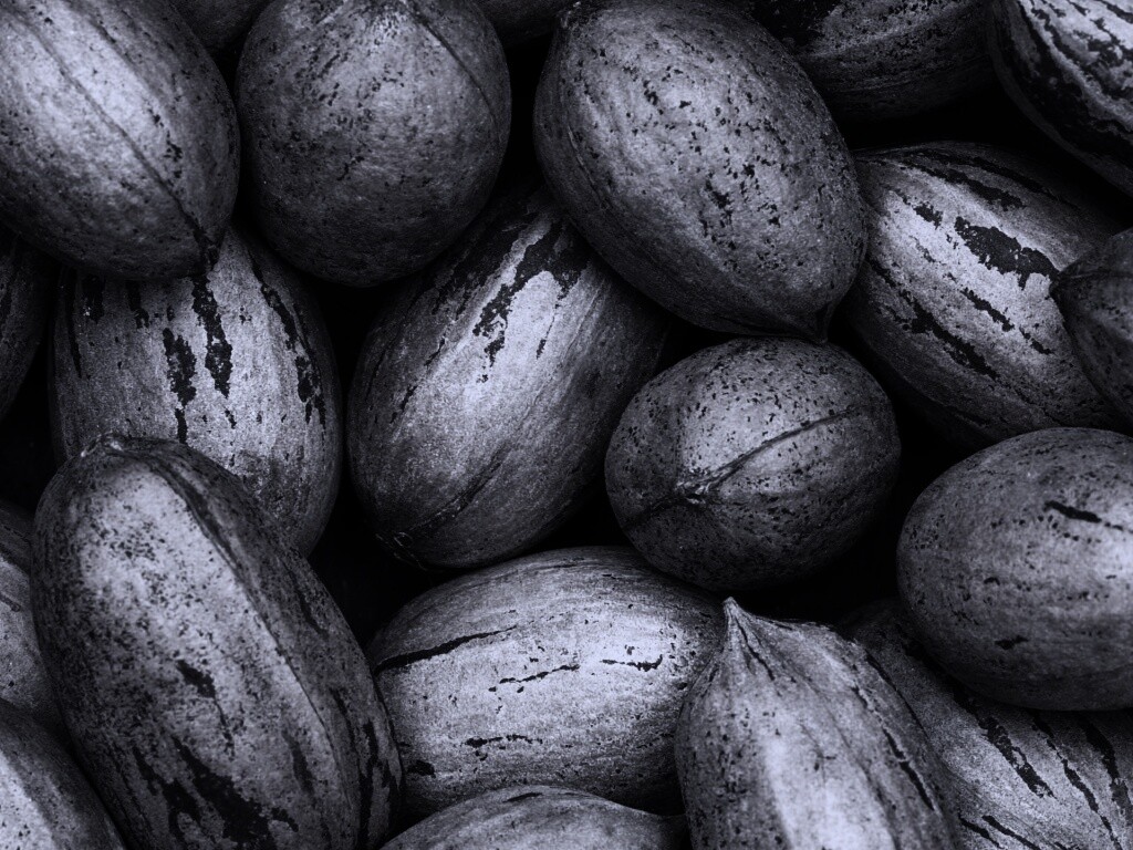 Грецкие орехи обои