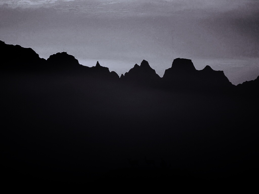 Вечер в национальном парке обои