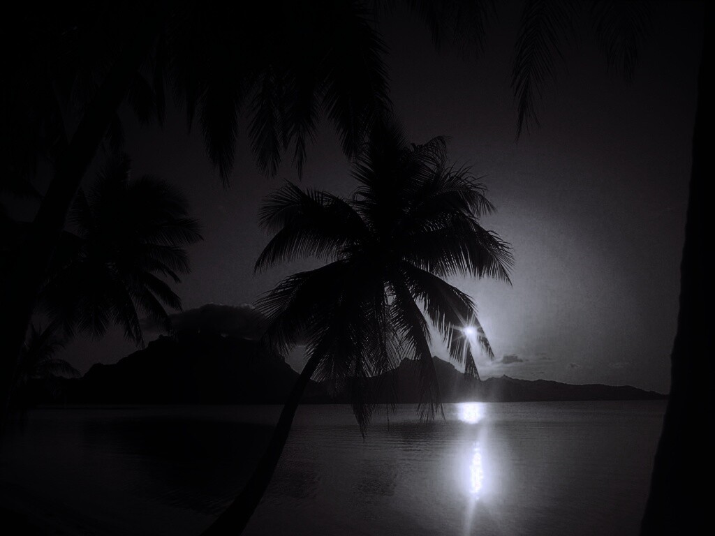 Закат в раю обои