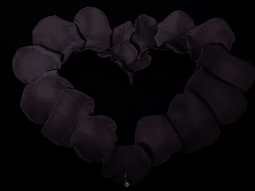 Красивое сердце обои