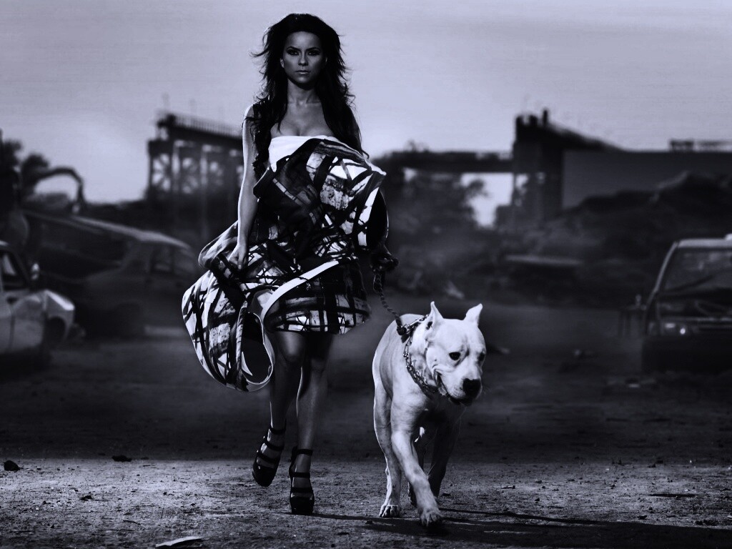 Девушка с питбулем обои