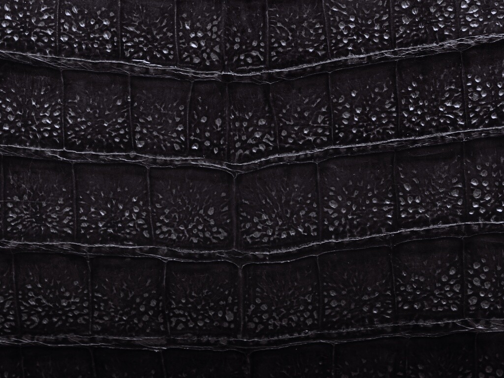 Текстура крокодильей кожи обои