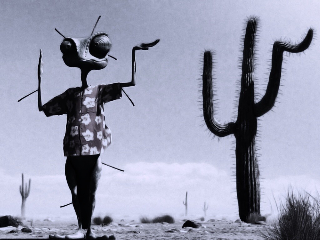 Ранго и кактус обои