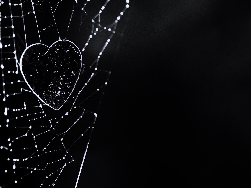 Запутавшаяся любовь.. обои