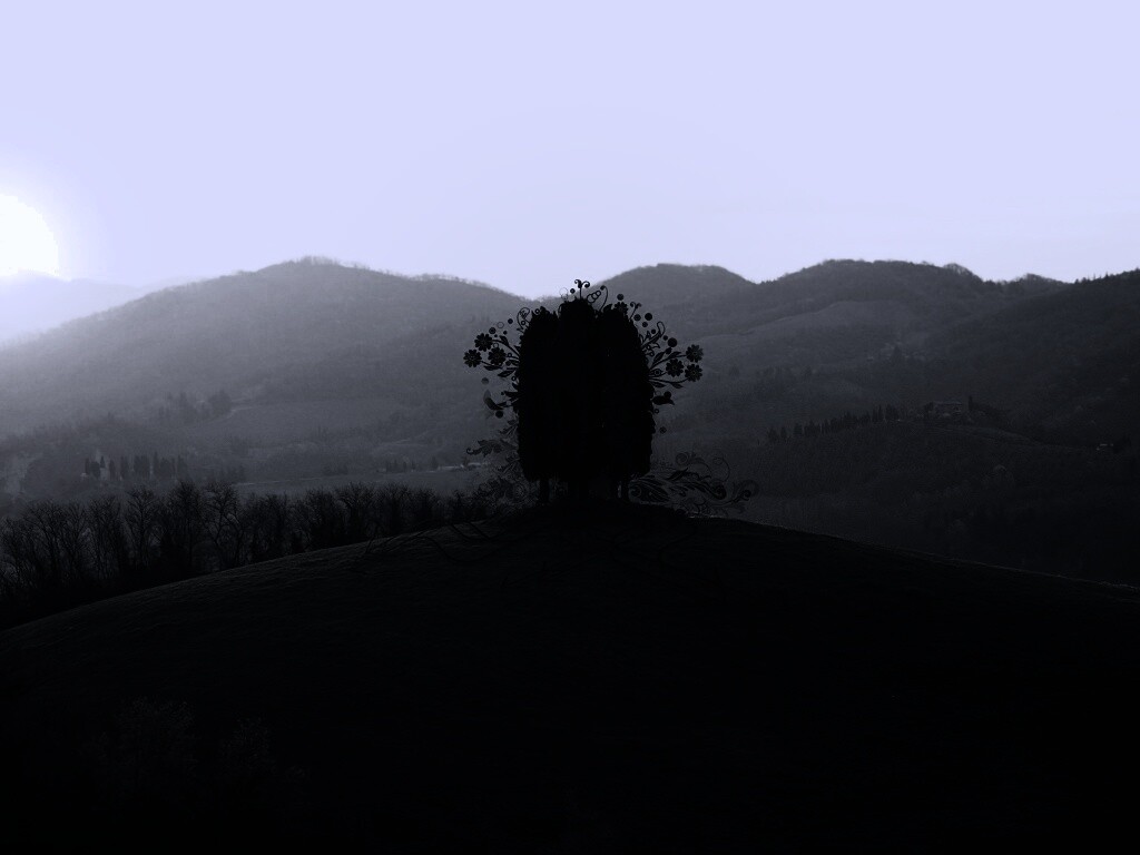 Деревья на холме обои