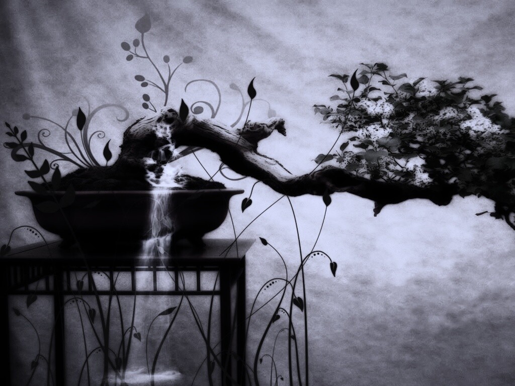 Карликовое дерево обои