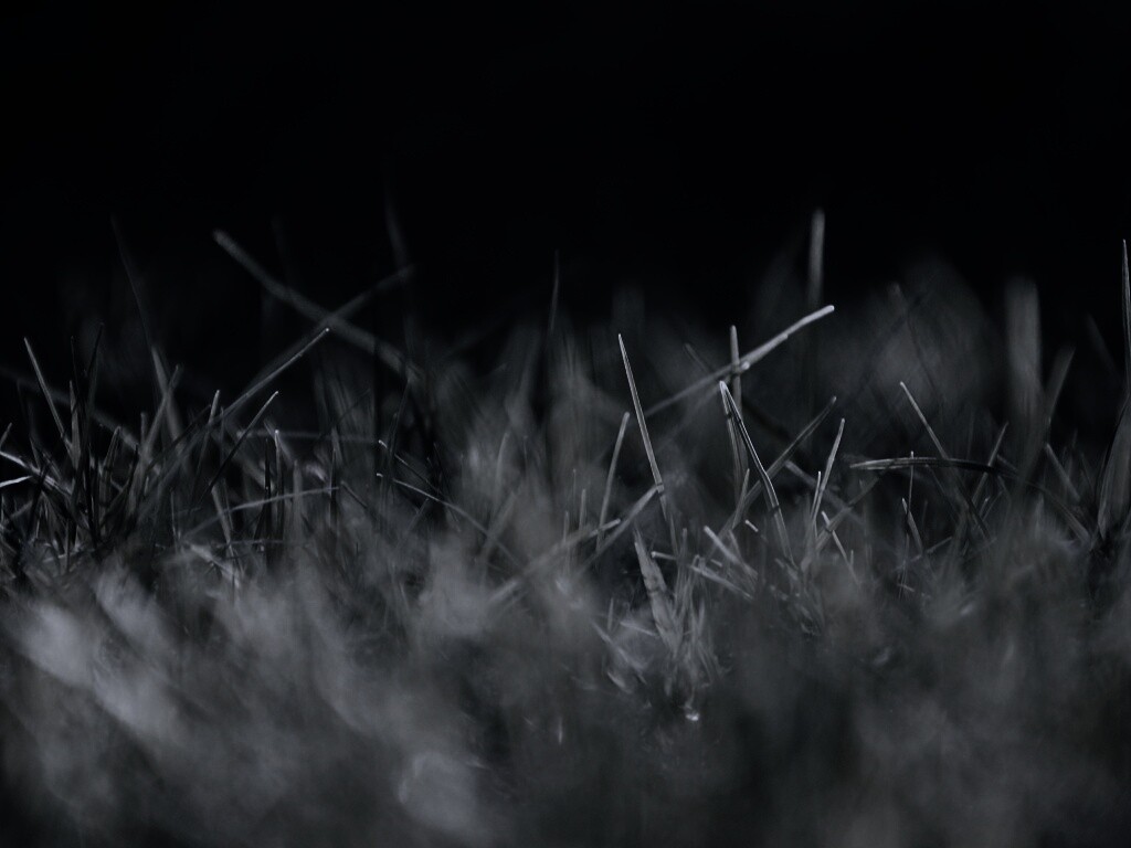 Играя солнечным светом обои