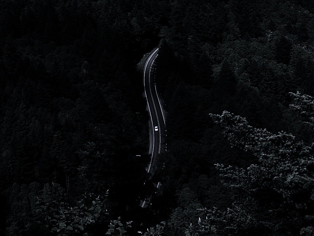 Лесная трасса обои