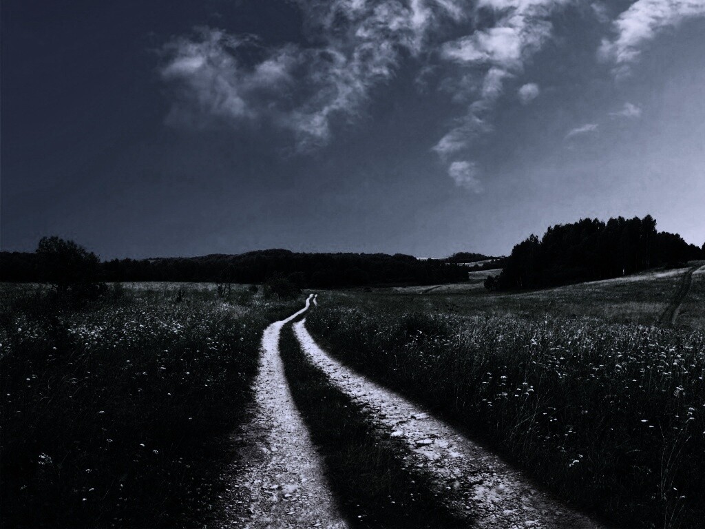 Дорога через луг обои