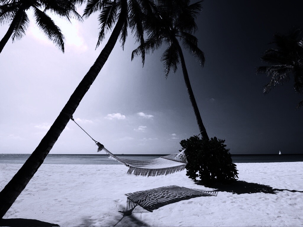 Тропический рай обои