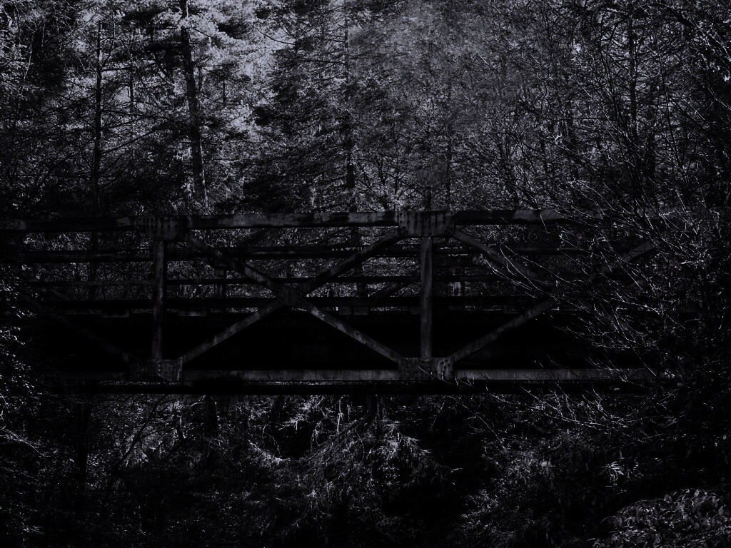 Металлический мост в лесной глуши обои