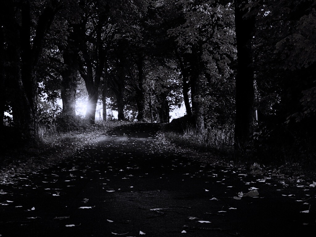 Дорога в осеннем парке обои