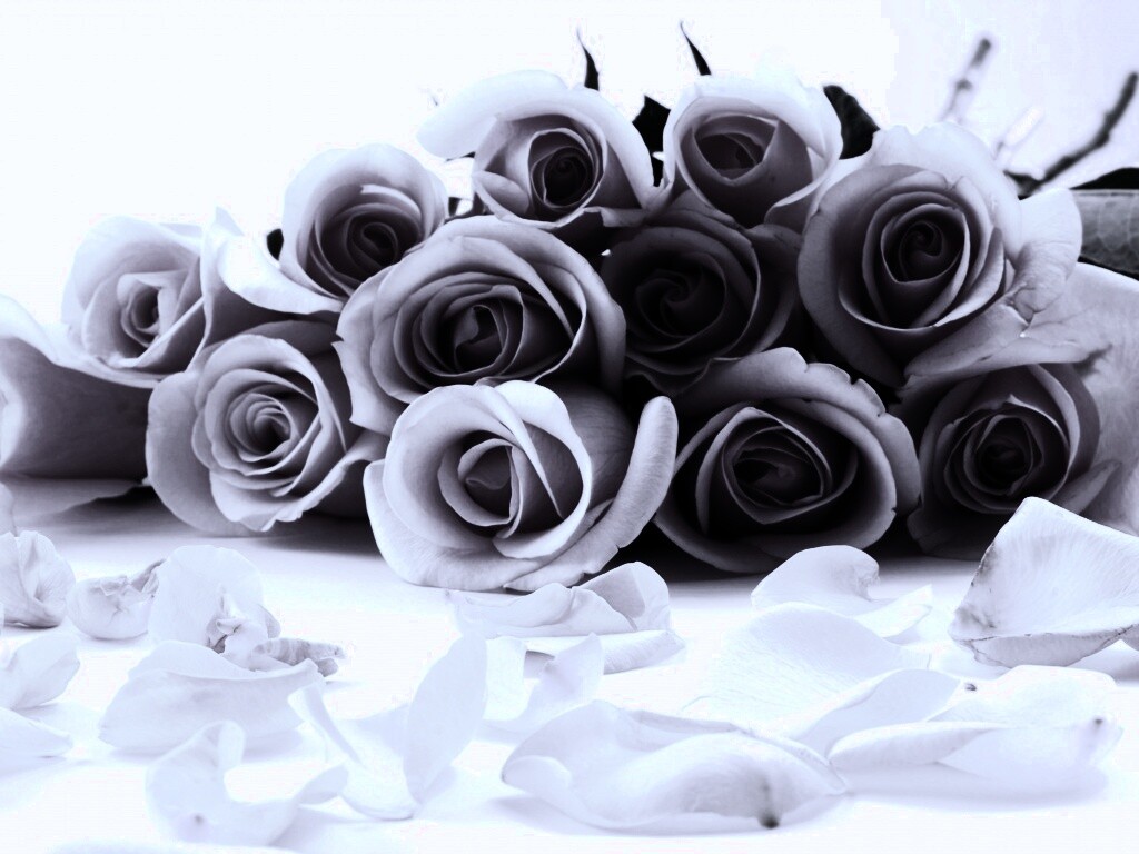 Букет роз обои