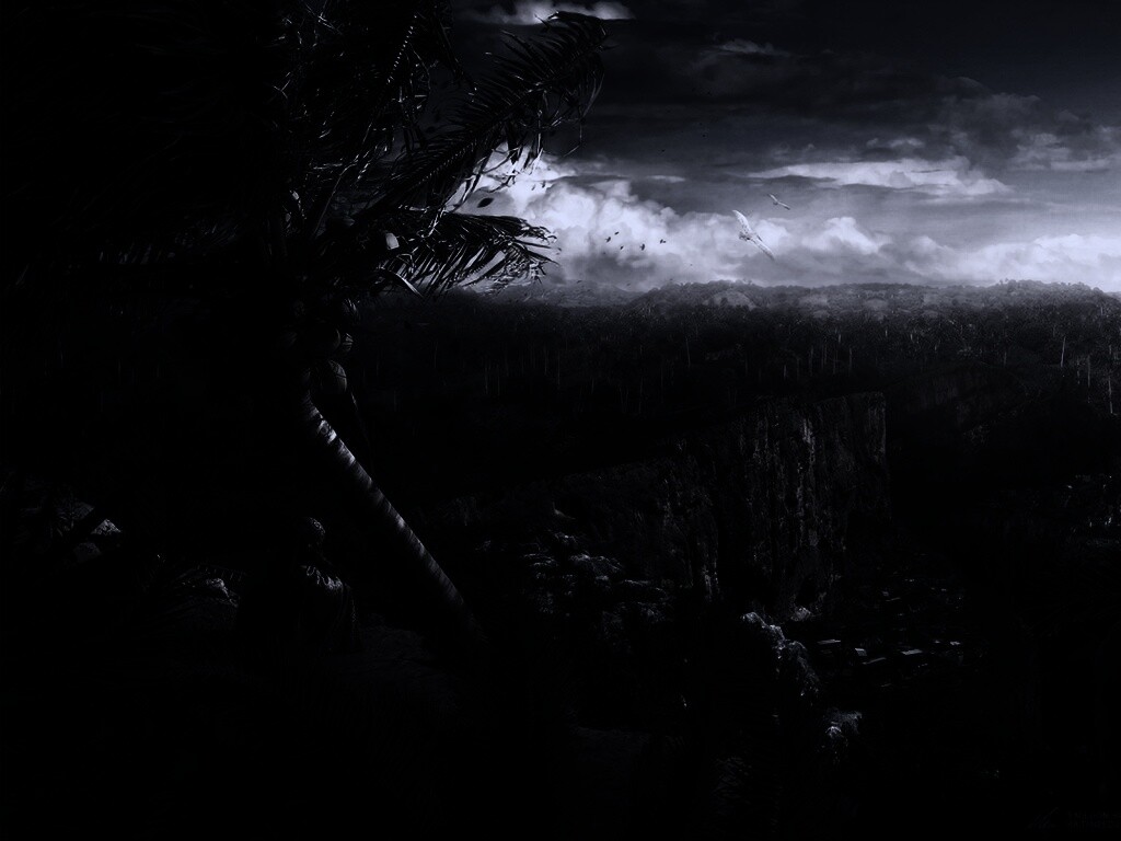 Вид на джунгли обои